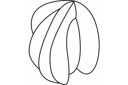 Printable coloring pages: Seashell 01 – 10 Doigts