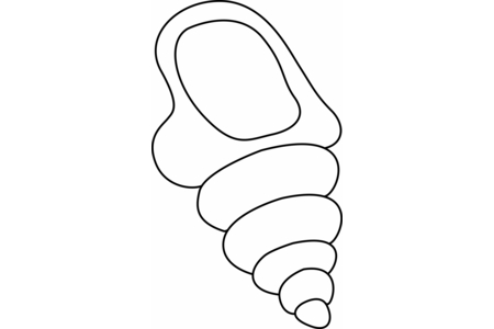 Dibujos para imprimir : Concha 03 – 10 Doigts