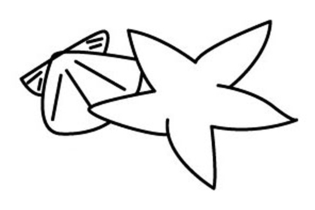 Printable coloring pages: Starfish 03 – 10 Doigts