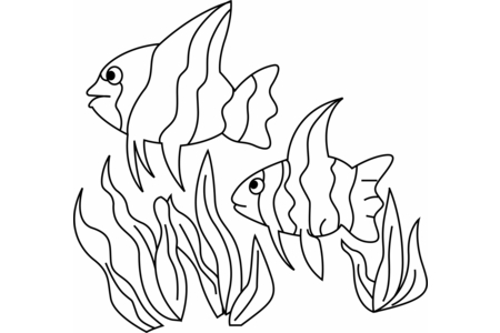 Printable coloring pages: Fish 12 – 10 Doigts