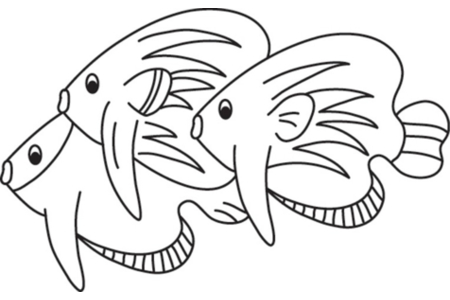 Printable coloring pages: Fish 25 – 10 Doigts