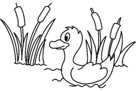 Printable coloring pages: Duck 01 – 10 Doigts