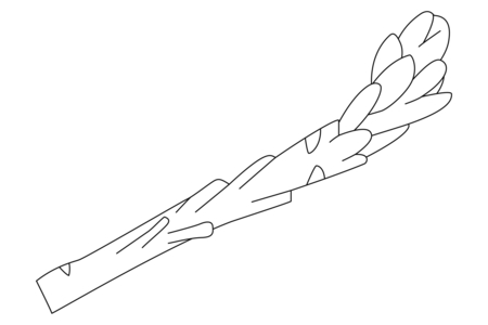Dibujos para imprimir : Espárrago 01 – 10 Doigts