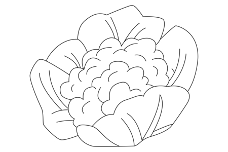 Printable coloring pages: Cauliflower 01 – 10 Doigts