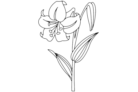 Printable coloring pages: Flower 003 – 10 Doigts