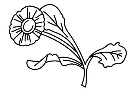 Printable coloring pages: Flower 008 – 10 Doigts