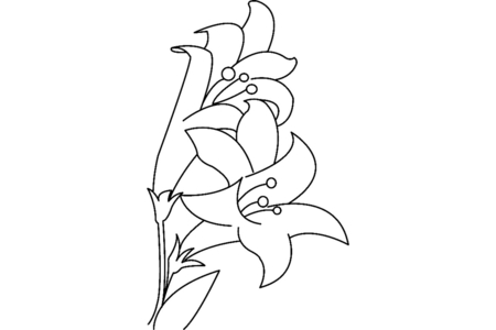 Printable coloring pages: Flowers 023 – 10 Doigts