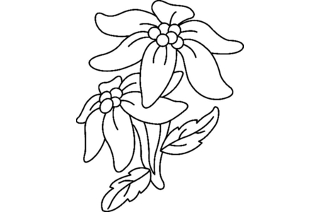 Printable coloring pages: Flowers 033 – 10 Doigts
