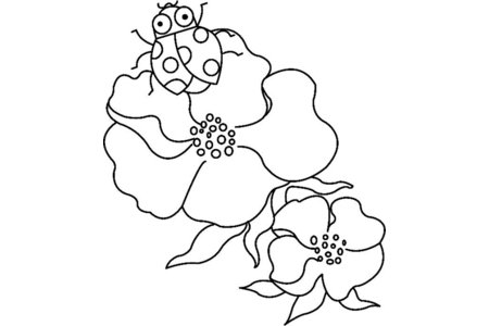 Printable coloring pages: Flowers and Ladybugs 01 – 10 Doigts