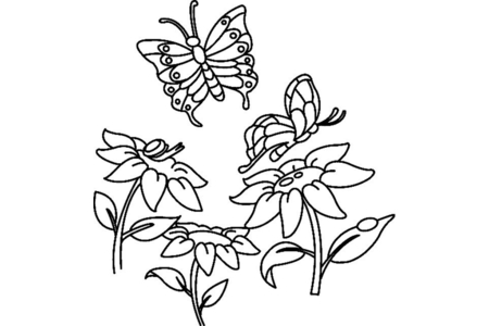 Printable coloring pages: Flowers and Butterflies 07 – 10 Doigts