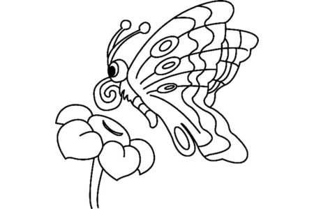 Printable coloring pages: Flowers and butterflies 10 – 10 Doigts