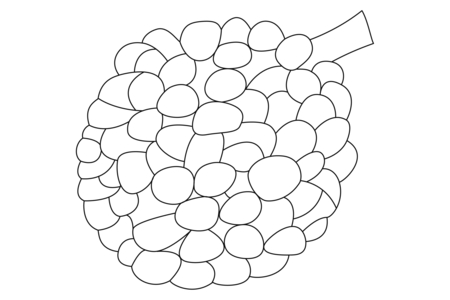 Dibujos para imprimir : Lichi 01 – 10 Doigts