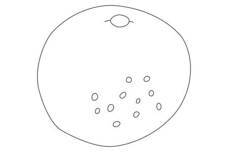 Dibujos para imprimir : Pomelo 01 – 10 Doigts