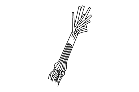 Dibujos para imprimir : Puerro 01 – 10 Doigts