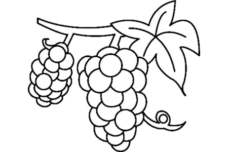 Dibujos para imprimir : Uva 01 – 10 Doigts
