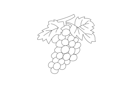 Dibujos para imprimir : Uvas 02 – 10 Doigts