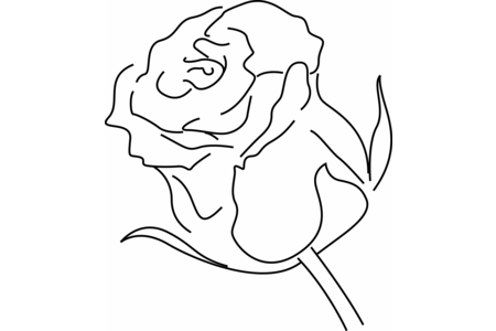 Dibujos para imprimir : Rosa 04 – 10 Doigts