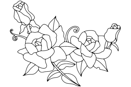 Dibujos para imprimir : Rosas 01 – 10 Doigts
