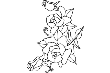 Dibujos para imprimir : Rosas 02 – 10 Doigts