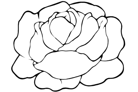 Dibujos para imprimir : Ensalada 01 – 10 Doigts