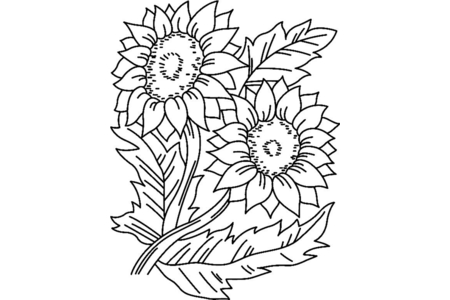 Printable coloring pages: Sunflowers 01 – 10 Doigts