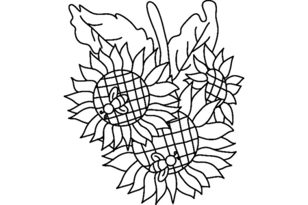 Printable coloring pages: Sunflowers 02 – 10 Doigts