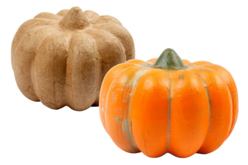 Paper Mache Pumpkin - Cardboard Decorations – 10doigts.fr