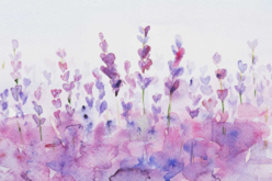 acuarela lavanda - Pintura acuarela - 10doigts.fr