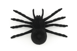araignée déco halloween - Accessoires créatifs Halloween - 10doigts.fr - 2