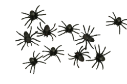 araignées noires 4 cm - Accessoires créatifs Halloween - 10doigts.fr - 2