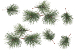 Branches sapin à piquer - Petites décorations de Noël - 10doigts.fr