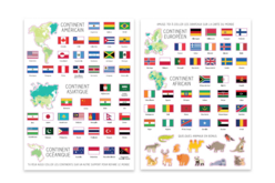World Map + 2 Sheets of Flag Stickers - 2 - Educational Kits - 10doigts.com - Educational Kits - 10doigts.fr