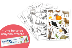 Cartes Fables à colorier + Cadeaux - Kits créatifs avec gommettes : le plein d’idées pour les petits artistes - 10doigts.fr