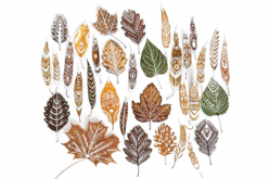 feuilles mortes au posca blanc - Marqueurs POSCA - 10doigts.fr - 2