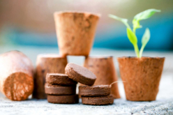 Galets de tourbe - Jardinage enfants - 10doigts.fr - 2