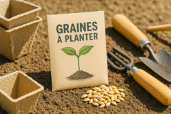 graines à planter jardin - Jardinage enfants - 10doigts.fr