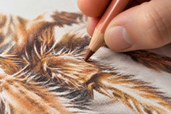 Faber-Castell Polychromos Pencil Kit "Spider" - Crayons de couleurs Beaux-Arts - 10doigts.fr - 2