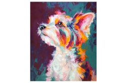 Kit diamond painting, Yorkshire - Diamond Painting : Kit complet - 10doigts.fr