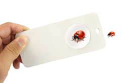 loupe d'observation - Kits animaux et nature - 10doigts.fr - 2