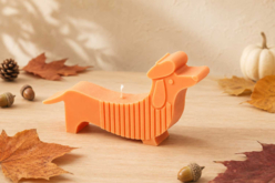 Candle Mold - Dachshund - Shell Crafts & Candleholder Projects – 10doigts.fr