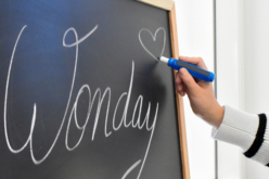 porta tizas magnético - Tizas, pizarras, pizarrones - 10doigts.fr