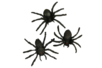Black Spiders - 10 Pieces - 1 - Halloween Creative Accessories - 10doigts.com - Halloween Creative Accessories – 10doigts.fr
