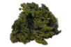 Musgo verde de Islandia - Flores, Vegetales – 10doigts.fr