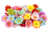50 Flores de tela - Flores y hojas decorativas – 10doigts.fr