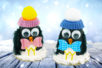 Diego and Cléo the Penguins - 1 - Kids Crafts Winter - 10doigts.com - Kids Crafts Winter – 10doigts.fr