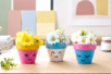 Kawaii Pot Ambiance - Craft Activities Painting: Creations for All Ages and All Desires – 10doigts.fr