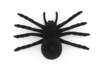 Realistic Large Spiders - 4 Pieces - 2 - Halloween Creative Accessories - 10doigts.com - Halloween Creative Accessories – 10doigts.fr