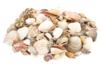 Natural Shells - 1 kg - 2 - Pebbles and Shells - 10doigts.com - Pebbles and Shells – 10doigts.fr