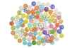 Decorative Wooden Buttons - 300 Pieces - 4 - Buttons - 10doigts.com - Buttons – 10doigts.fr
