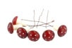 Small Mushrooms on Stem - 6 Pieces - 1 - Natural Decorations - 10doigts.com - Natural Decorations – 10doigts.fr